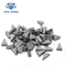 Alat Ukur Perlindungan Alat Pemotong Saw, Tip Pemotong Tungsten Carbide Shield Tuning Boring pemasok