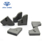 Tungsten Carbide Brazed Tips Tipe C4 Untuk Membuat Alat Grooving / Roda Pemesinan Sabuk Triangulaf pemasok